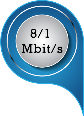 Speed8